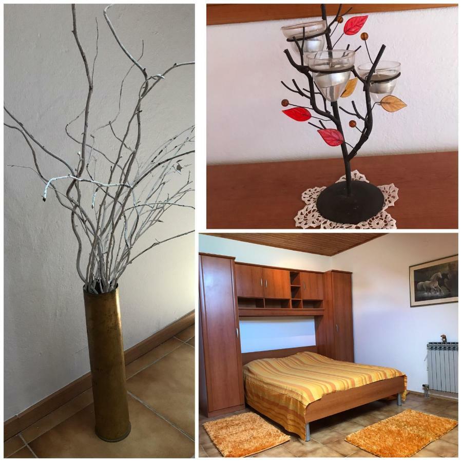 Apartamento Lidija Zadar Exterior foto
